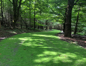 Excavation Cowansville