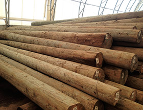 Poteaux de téléphone